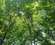 理想の体のためにお力になります イメージ1