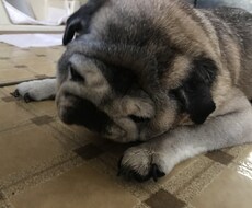 1人で悩まず一緒に解決していきます イメージ1