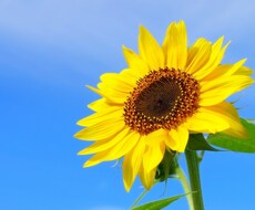現役精神科看護師が悩みを聞き、アドバイスします
