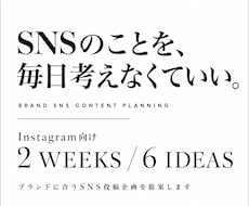 ブランドに合うSNS投稿企画を提案しますます イメージ1