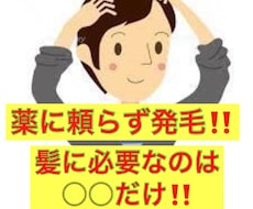 薬に頼らず抜け毛、薄毛を克服した発毛方法教えます イメージ1