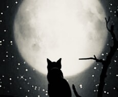 お互い本音だけの相談承ります イメージ1