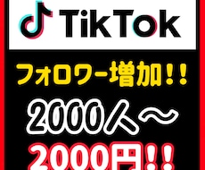2000人TikTokのフォロワーを増やします 些細な疑問でもお答えしますのでご気軽に相談ください!