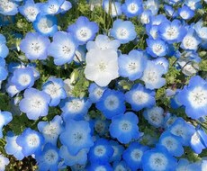 いつでもあなたの心に寄り添います イメージ1