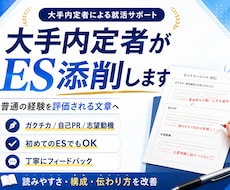 日経大手内定者が対応　あなたのES通します イメージ1