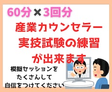 3回分　産業カウンセラー実技試験の練習ができます 私が60分間クライエント役、振返りもさせて頂きます。