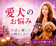 愛犬への愚痴をこぼしたい。優しく寄り添います イメージ1