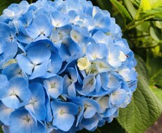 明日に向けてあなたを元気にします イメージ1