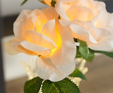 令和7年11月分健康経営取得に向けて資料作成します 11月納品分です。よろしくお願いします。