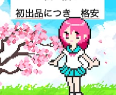 初出品限定！格安でドット絵作成します イメージ1