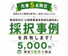 小規模事業者持続化補助金の採択事例を共有します 【整骨院向け】5名様限定！ココナラ出品記念価格！
