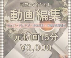 可愛い系オシャレ系の動画編集承ります イメージ1