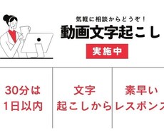 動画の字幕入れをします イメージ1