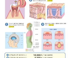 イラストによる人体の組織図・説明図等を作成します イメージ1