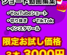 初回お試し版：ショート動画請け負います イメージ1