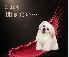恋愛・仕事のお悩み│霊感恋愛タロットで占います 何でも相談したい│恋愛・仕事・人間関係・プライベート