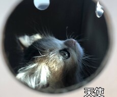 心におもっていることをひたすらきいてます イメージ1