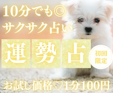 お試し10分でサクッと、あなたのこれからを占います 【7月末まで♡初回限定】1分200円→100円｜運気の流れ