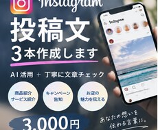 Instagram投稿文を3本作成します イメージ1