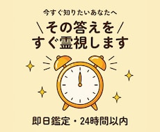 即日鑑定｜24時間以内に答えを霊視します 即日・スピード鑑定｜今すぐ知りたい答えを視ます