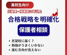 高校生の学習・受験相談を60分で整理します イメージ1