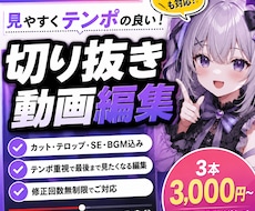 実績作り価格】ショート動画3本編集いたします イメージ1