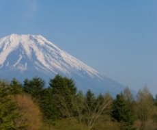 タロット占い♪プロ歴20年♪現状打破のお手伝いします イメージ1