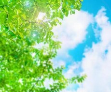 心に残っている【夢】分析いたします イメージ1