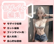ファンサイト用のモザイク処理動画つくります イメージ1