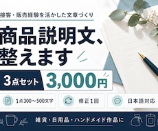 商品の魅力が伝わる説明文を3点作成します イメージ1