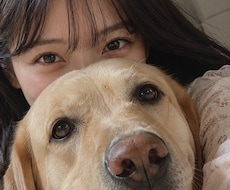 1日チャット❀【お電話でお話した方限定】まってます お友達みたいに仲良く自由にお話ししよ( ¨̮ )ෆ⸒⸒