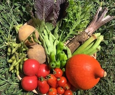 自然栽培・有機栽培による野菜の作り方を教えます イメージ1
