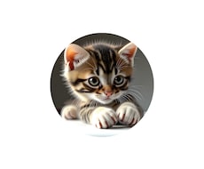子猫AI化します イメージ1