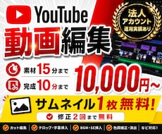 YouTubeサイズの動画編集を行います イメージ1