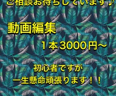 1本3000円〜動画編集致します イメージ1