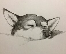 リアルタッチ！な動物のイラストお描きします 似顔絵やチラシ、広告用等幅広くお使いいただけます