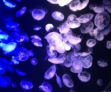 女性限定】あなたの愚痴を聞いて、全て肯定します イメージ1