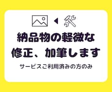 納品物の軽微な修正、加筆します 既に私のサービスをご利用したことがある方向けです。