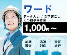 ワード(データ入力/文字起こし/他)を代行します 理想のワードデータを短期間かつ格安で作ります。