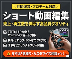 各種ジャンル◎SNSショート動画〝3本〟作ります イメージ1