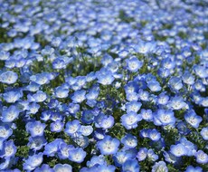 カウンセリングいたします しっかりと誠心誠意させて頂きます(リピーター様専用です)