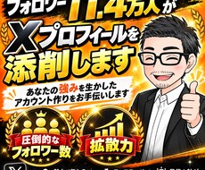 フォロワー11.4万人がXプロフィールを添削します あなたの強みを生かしたアカウント作りをお手伝いします