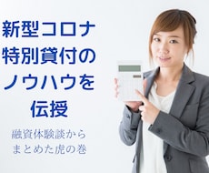 新型コロナウイルス特別貸付の融資ノウハウを教えます ★政策金融公庫（国民生活事業）の融資体験からまとめた虎の巻★