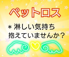 大切なペットちゃんを亡くされた方、寄り添います イメージ1