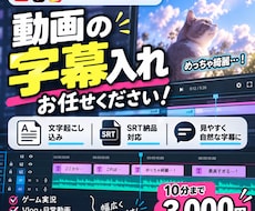 動画に見やすい字幕を入れます イメージ1