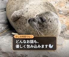 ふと話したい時。お話好きのあざらしがいます イメージ1