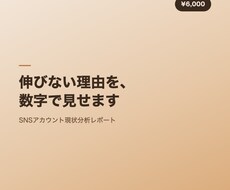 SNSが伸びない理由を数字で診断します イメージ1
