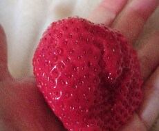気軽に色んな相談聞きます イメージ1