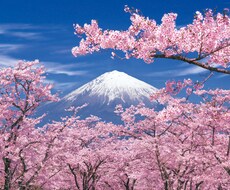 どーんとまるっと♡あなたを受け止めます イメージ1