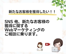SNS他集客に関するマーケティングの相談乗ります 新たなお客様獲得に悩んでいる方向けマーケティング設計の支援
